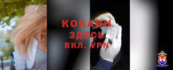 амф Аркадак