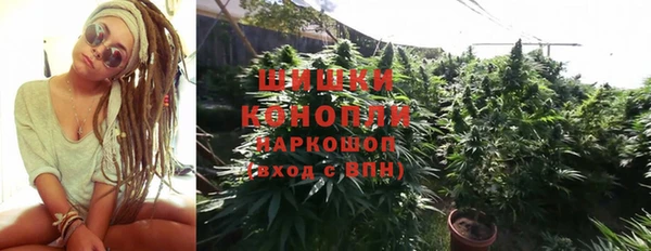 ГАЛЛЮЦИНОГЕННЫЕ ГРИБЫ Арсеньев