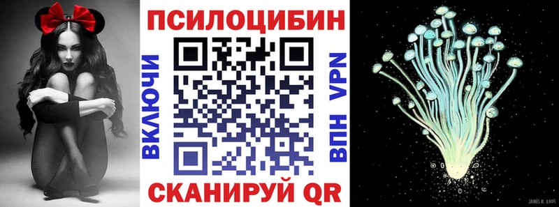 цены Ржев МЕГА tor Псилоцибиновые грибы мицелий